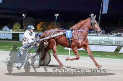 Dateiname=20251026_r09_061_R09_0185.jpg
Dateigröße=286KB
Abmessungen: 1000x667
hinzugefügt am: 29. Oktober 2025 20251026_r09_061_R09_0185.jpg