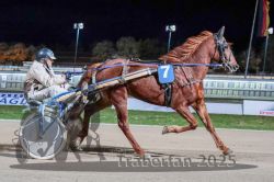 Dateiname=20251026_r09_063_R09_0194.jpg
Dateigröße=292KB
Abmessungen: 1000x667
hinzugefügt am: 29. Oktober 2025 20251026_r09_063_R09_0194.jpg