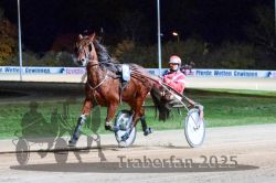 Dateiname=20251026_r09_064_R09_0196.jpg
Dateigröße=307KB
Abmessungen: 1000x667
hinzugefügt am: 29. Oktober 2025 20251026_r09_064_R09_0196.jpg