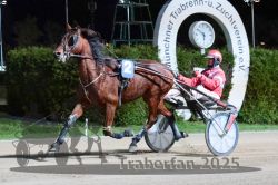 Dateiname=20251026_r09_068_R09_0212.jpg
Dateigröße=321KB
Abmessungen: 1000x667
hinzugefügt am: 29. Oktober 2025 20251026_r09_068_R09_0212.jpg