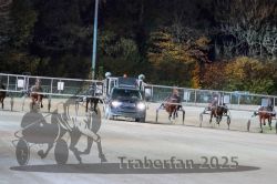 Dateiname=20251026_r09_069_R09_0217.jpg
Dateigröße=299KB
Abmessungen: 1000x667
hinzugefügt am: 29. Oktober 2025 20251026_r09_069_R09_0217.jpg