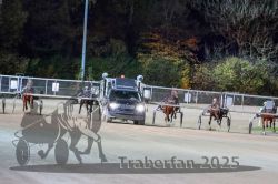 Dateiname=20251026_r09_070_R09_0223.jpg
Dateigröße=305KB
Abmessungen: 1000x667
hinzugefügt am: 29. Oktober 2025 20251026_r09_070_R09_0223.jpg