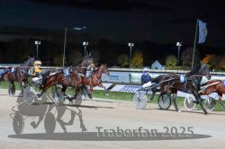 Dateiname=20251026_r09_074_R09_0240.jpg
Dateigröße=260KB
Abmessungen: 1000x667
hinzugefügt am: 29. Oktober 2025 20251026_r09_074_R09_0240.jpg