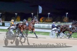 Dateiname=20251026_r09_075_R09_0244.jpg
Dateigröße=276KB
Abmessungen: 1000x667
hinzugefügt am: 29. Oktober 2025 20251026_r09_075_R09_0244.jpg