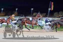 Dateiname=20251026_r09_076_R09_0249.jpg
Dateigröße=290KB
Abmessungen: 1000x667
hinzugefügt am: 29. Oktober 2025 20251026_r09_076_R09_0249.jpg