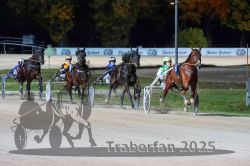 Dateiname=20251026_r09_081_R09_0264.jpg
Dateigröße=282KB
Abmessungen: 1000x667
hinzugefügt am: 29. Oktober 2025 20251026_r09_081_R09_0264.jpg