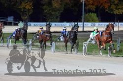 Dateiname=20251026_r09_082_R09_0268.jpg
Dateigröße=292KB
Abmessungen: 1000x667
hinzugefügt am: 29. Oktober 2025 20251026_r09_082_R09_0268.jpg