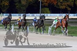 Dateiname=20251026_r09_083_R09_0271.jpg
Dateigröße=286KB
Abmessungen: 1000x667
hinzugefügt am: 29. Oktober 2025 20251026_r09_083_R09_0271.jpg