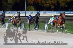 Dateiname=20251026_r09_084_R09_0275.jpg
Dateigröße=280KB
Abmessungen: 1000x667
hinzugefügt am: 29. Oktober 2025 20251026_r09_084_R09_0275.jpg