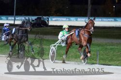 Dateiname=20251026_r09_085_R09_0278.jpg
Dateigröße=280KB
Abmessungen: 1000x667
hinzugefügt am: 29. Oktober 2025 20251026_r09_085_R09_0278.jpg