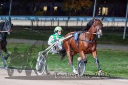 Dateiname=20251026_r09_089_R09_0289.jpg
Dateigröße=305KB
Abmessungen: 1000x667
hinzugefügt am: 29. Oktober 2025 20251026_r09_089_R09_0289.jpg