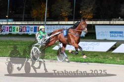 Dateiname=20251026_r09_090_R09_0293.jpg
Dateigröße=302KB
Abmessungen: 1000x667
hinzugefügt am: 29. Oktober 2025 20251026_r09_090_R09_0293.jpg