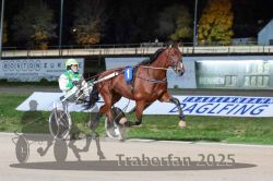 Dateiname=20251026_r09_091_R09_0296.jpg
Dateigröße=298KB
Abmessungen: 1000x667
hinzugefügt am: 29. Oktober 2025 20251026_r09_091_R09_0296.jpg