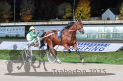 Dateiname=20251026_r09_092_R09_0297.jpg
Dateigröße=305KB
Abmessungen: 1000x667
hinzugefügt am: 29. Oktober 2025 20251026_r09_092_R09_0297.jpg