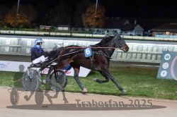 Dateiname=20251026_r09_093_R09_0304.jpg
Dateigröße=267KB
Abmessungen: 1000x667
hinzugefügt am: 29. Oktober 2025 20251026_r09_093_R09_0304.jpg