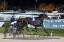 Dateiname=20251026_r09_094_R09_0307.jpg
Dateigröße=288KB
Abmessungen: 1000x667
hinzugefügt am: 29. Oktober 2025 20251026_r09_094_R09_0307.jpg