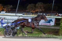 Dateiname=20251026_r09_096_R09_0313.jpg
Dateigröße=289KB
Abmessungen: 1000x667
hinzugefügt am: 29. Oktober 2025 20251026_r09_096_R09_0313.jpg