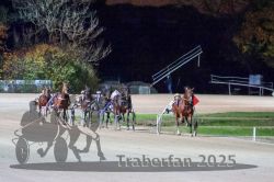 Dateiname=20251026_r09_097_R09_0319.jpg
Dateigröße=301KB
Abmessungen: 1000x667
hinzugefügt am: 29. Oktober 2025 20251026_r09_097_R09_0319.jpg