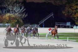 Dateiname=20251026_r09_099_R09_0325.jpg
Dateigröße=300KB
Abmessungen: 1000x667
hinzugefügt am: 29. Oktober 2025 20251026_r09_099_R09_0325.jpg