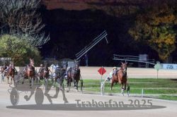 Dateiname=20251026_r09_100_R09_0328.jpg
Dateigröße=312KB
Abmessungen: 1000x667
hinzugefügt am: 29. Oktober 2025 20251026_r09_100_R09_0328.jpg