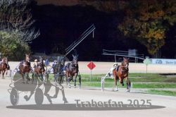 Dateiname=20251026_r09_101_R09_0332.jpg
Dateigröße=288KB
Abmessungen: 1000x667
hinzugefügt am: 29. Oktober 2025 20251026_r09_101_R09_0332.jpg