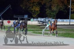 Dateiname=20251026_r09_102_R09_0336.jpg
Dateigröße=283KB
Abmessungen: 1000x667
hinzugefügt am: 29. Oktober 2025 20251026_r09_102_R09_0336.jpg