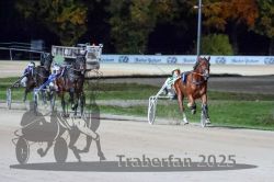 Dateiname=20251026_r09_104_R09_0343.jpg
Dateigröße=271KB
Abmessungen: 1000x667
hinzugefügt am: 29. Oktober 2025 20251026_r09_104_R09_0343.jpg