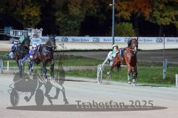 Dateiname=20251026_r09_105_R09_0346.jpg
Dateigröße=284KB
Abmessungen: 1000x667
hinzugefügt am: 29. Oktober 2025 20251026_r09_105_R09_0346.jpg