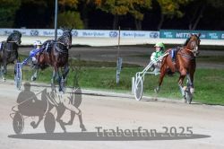 Dateiname=20251026_r09_106_R09_0350.jpg
Dateigröße=275KB
Abmessungen: 1000x667
hinzugefügt am: 29. Oktober 2025 20251026_r09_106_R09_0350.jpg