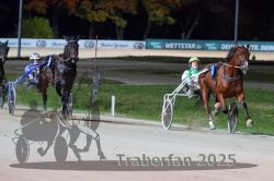 Dateiname=20251026_r09_107_R09_0354.jpg
Dateigröße=272KB
Abmessungen: 1000x667
hinzugefügt am: 29. Oktober 2025 20251026_r09_107_R09_0354.jpg