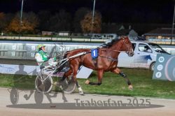 Dateiname=20251026_r09_109_R09_0362.jpg
Dateigröße=275KB
Abmessungen: 1000x667
hinzugefügt am: 29. Oktober 2025 20251026_r09_109_R09_0362.jpg