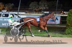 Dateiname=20251026_r09_113_R09_0370.jpg
Dateigröße=288KB
Abmessungen: 1000x667
hinzugefügt am: 29. Oktober 2025 20251026_r09_113_R09_0370.jpg