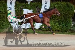 Dateiname=20251026_r09_117_R09_0377.jpg
Dateigröße=305KB
Abmessungen: 1000x667
hinzugefügt am: 29. Oktober 2025 20251026_r09_117_R09_0377.jpg