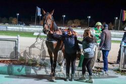 Dateiname=20251026_r09_119_R09_0386.jpg
Dateigröße=323KB
Abmessungen: 1000x667
hinzugefügt am: 29. Oktober 2025 20251026_r09_119_R09_0386.jpg