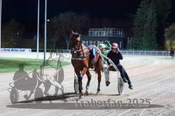 Dateiname=20251026_r09_135_R09_0460.jpg
Dateigröße=291KB
Abmessungen: 1000x667
hinzugefügt am: 29. Oktober 2025 20251026_r09_135_R09_0460.jpg