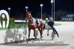 Dateiname=20251026_r09_139_R09_0473.jpg
Dateigröße=282KB
Abmessungen: 1000x667
hinzugefügt am: 29. Oktober 2025 20251026_r09_139_R09_0473.jpg