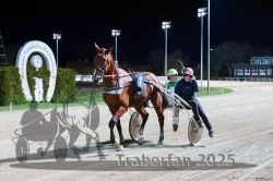 Dateiname=20251026_r09_140_R09_0475.jpg
Dateigröße=277KB
Abmessungen: 1000x667
hinzugefügt am: 29. Oktober 2025 20251026_r09_140_R09_0475.jpg