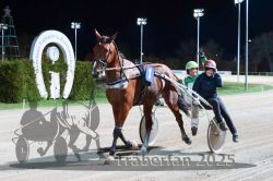 Dateiname=20251026_r09_141_R09_0477.jpg
Dateigröße=288KB
Abmessungen: 1000x667
hinzugefügt am: 29. Oktober 2025 20251026_r09_141_R09_0477.jpg