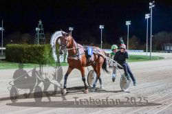 Dateiname=20251026_r09_142_R09_0480.jpg
Dateigröße=299KB
Abmessungen: 1000x667
hinzugefügt am: 29. Oktober 2025 20251026_r09_142_R09_0480.jpg