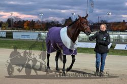 Dateiname=20251026_rf_012_R07_0444.jpg
Dateigröße=268KB
Abmessungen: 1000x667
hinzugefügt am: 27. Oktober 2025 20251026_rf_012_R07_0444.jpg