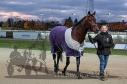 Dateiname=20251026_rf_013_R07_0449.jpg
Dateigröße=270KB
Abmessungen: 1000x667
hinzugefügt am: 27. Oktober 2025 20251026_rf_013_R07_0449.jpg