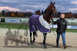 Dateiname=20251026_rf_014_R07_0454.jpg
Dateigröße=268KB
Abmessungen: 1000x667
hinzugefügt am: 27. Oktober 2025 20251026_rf_014_R07_0454.jpg